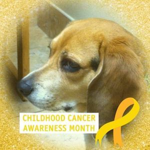 Meet your Posher, Lindsay